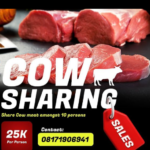 Cow sharing